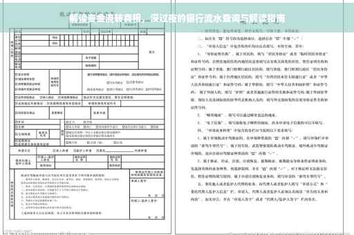 解读资金流转真相，没过夜的银行流水查询与解读指南