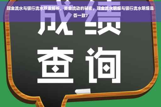 现金流水与银行流水双重解析，资金流动的秘密，现金流水明细与银行流水明细是否一致？