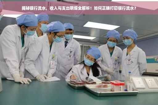揭秘银行流水，收入与支出明细全解析！如何正确打印银行流水？