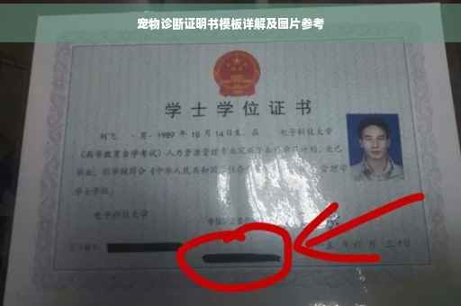 宠物诊断证明书模板详解及图片参考