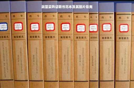 蔬菜采购证明书范本及其图片指南