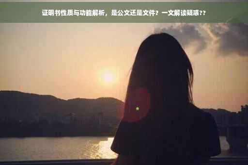 证明书性质与功能解析，是公文还是文件？一文解读疑惑??