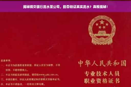 揭秘提交银行流水至公司，能否验证真实流水？真相揭秘！