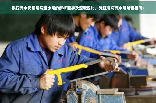银行流水凭证号与流水号的解析差异及深度探讨，凭证号与流水号是否相同？