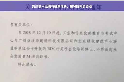 贷款收入证明与税单详解，撰写指南及要点