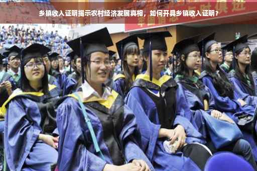乡镇收入证明揭示农村经济发展真相，如何开具乡镇收入证明？