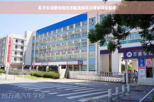 无子女证明书格式详解及撰写注意事项全解析