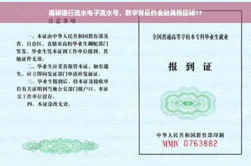 揭秘银行流水电子流水号，数字背后的金融真相探秘??