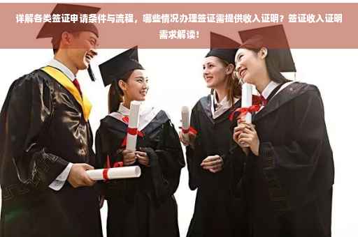 详解各类签证申请条件与流程，哪些情况办理签证需提供收入证明？签证收入证明需求解读！