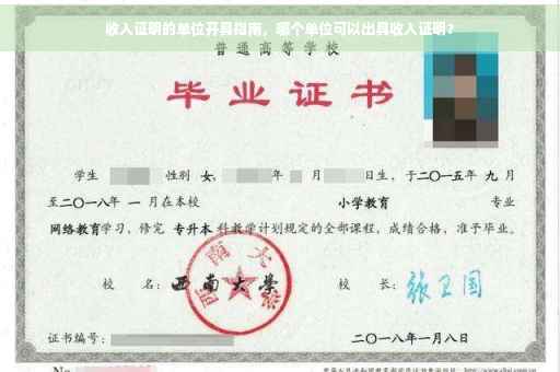 收入证明的单位开具指南，哪个单位可以出具收入证明？