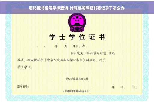 忘记证书编号怎样查询-计算机等级证书忘记拿了怎么办