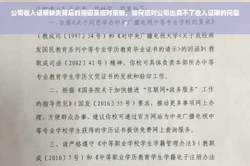 公司收入证明缺失背后的原因及应对策略，如何应对公司出具不了收入证明的问题？
