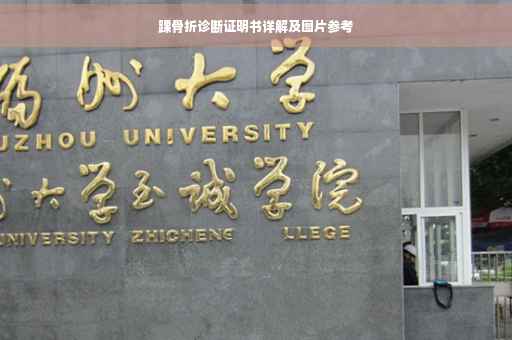 踝骨折诊断证明书详解及图片参考