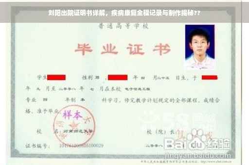 刘阳出院证明书详解，疾病康复全程记录与制作揭秘??