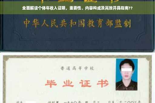 全面解读个体年收入证明，重要性、内容构成及高效开具指南??
