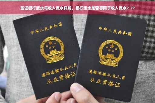 签证银行流水与收入流水详解，银行流水是否等同于收入流水？??
