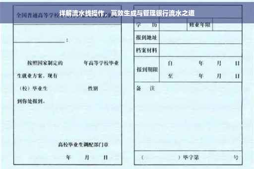 详解流水线操作，高效生成与管理银行流水之道