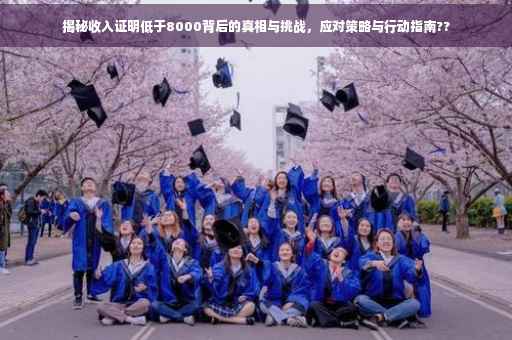 揭秘收入证明低于8000背后的真相与挑战，应对策略与行动指南??