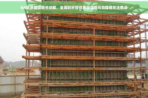 BA管质量证明书详解，全面剖析管件质量保障与自媒体关注焦点