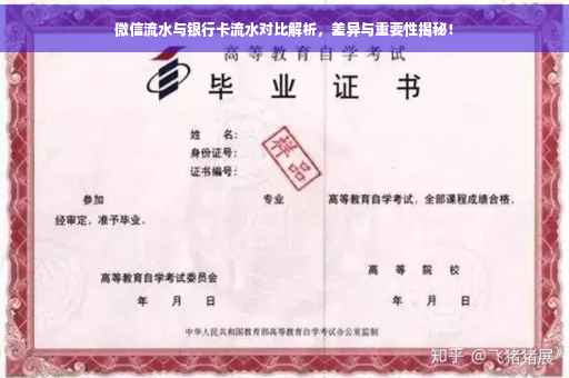 微信流水与银行卡流水对比解析，差异与重要性揭秘！