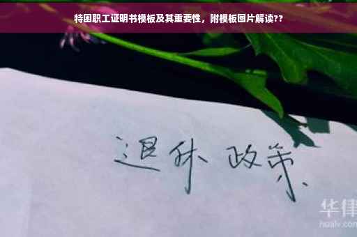 特困职工证明书模板及其重要性，附模板图片解读??