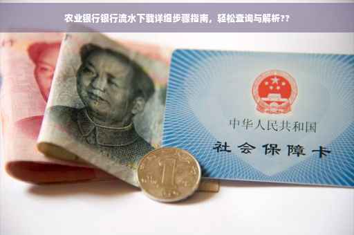 农业银行银行流水下载详细步骤指南，轻松查询与解析??