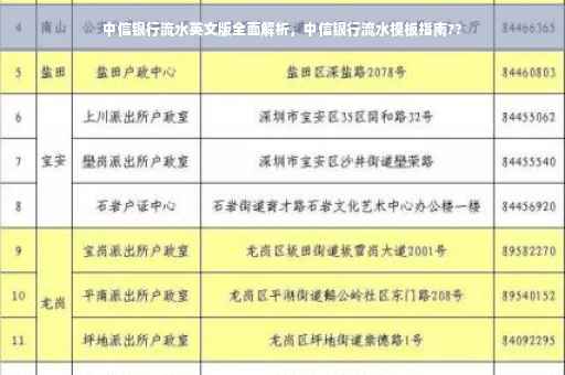 中信银行流水英文版全面解析，中信银行流水模板指南??