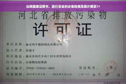 出境健康证明书，旅行安全的必备指南及图片概览??