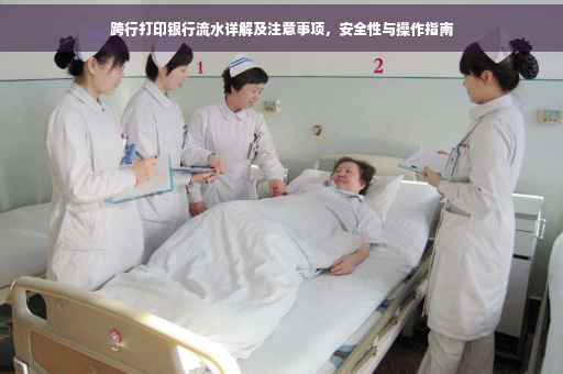 跨行打印银行流水详解及注意事项，安全性与操作指南