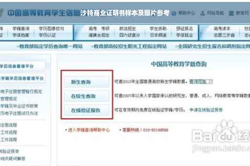 沙特商业证明书样本及图片参考