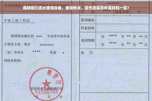 揭秘银行流水查询攻略，查询地点、操作流程及所需材料一览?