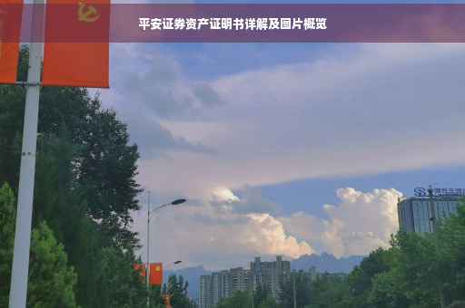 平安证券资产证明书详解及图片概览