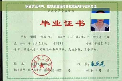 钢品质证明书，钢铁质量保障的权威证明与信赖之选