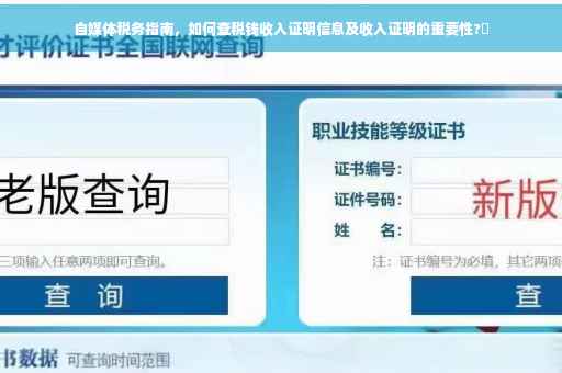 自媒体税务指南，如何查税钱收入证明信息及收入证明的重要性?✨