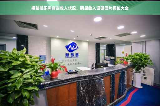 揭秘娱乐圈真实收入状况，明星收入证明图片模板大全