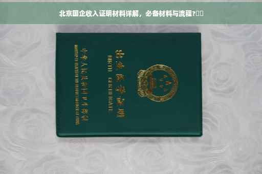 北京国企收入证明材料详解，必备材料与流程?​​