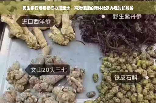 民生银行远程银行办理流水，高效便捷的新体验及办理时长解析