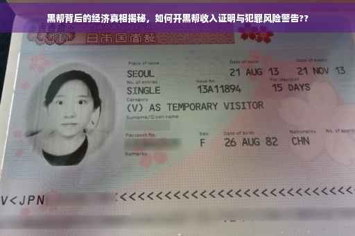 黑帮背后的经济真相揭秘，如何开黑帮收入证明与犯罪风险警告??