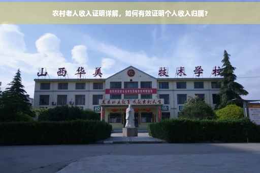 农村老人收入证明详解，如何有效证明个人收入归属？
