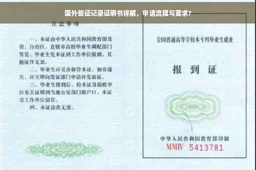 国外签证记录证明书详解，申请流程与要求?