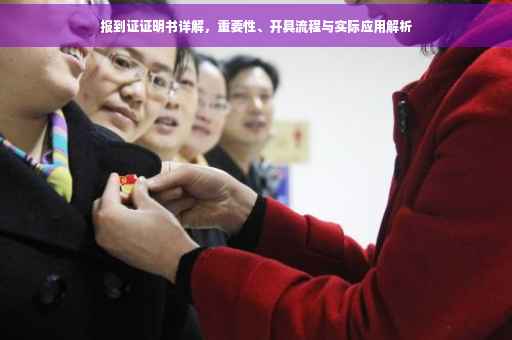 报到证证明书详解，重要性、开具流程与实际应用解析