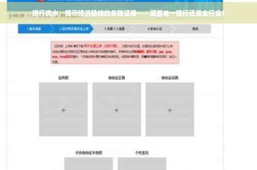 银行流水，揭示经济脉络的关键证据——涵盖单一银行还是全行业？