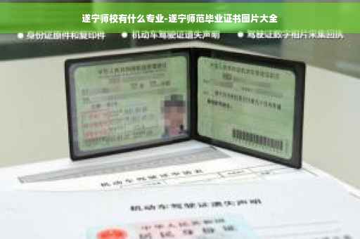 遂宁师校有什么专业-遂宁师范毕业证书图片大全