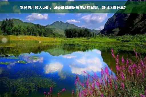 农民的月收入证明，记录辛勤耕耘与生活的写照，如何正确开具？