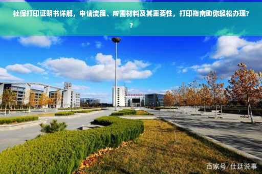 社保打印证明书详解，申请流程、所需材料及其重要性，打印指南助你轻松办理??