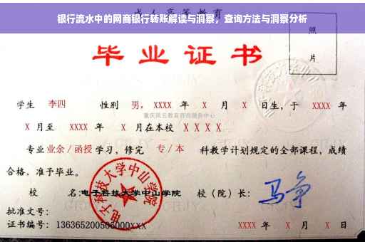 银行流水中的网商银行转账解读与洞察，查询方法与洞察分析