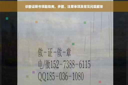 诊断证明书领取指南，步骤、注意事项及常见问题解答