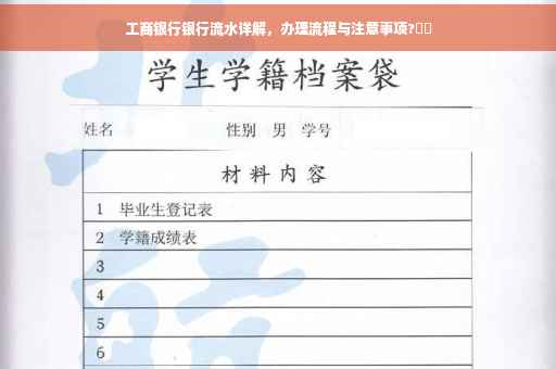 工商银行银行流水详解，办理流程与注意事项?⚡️