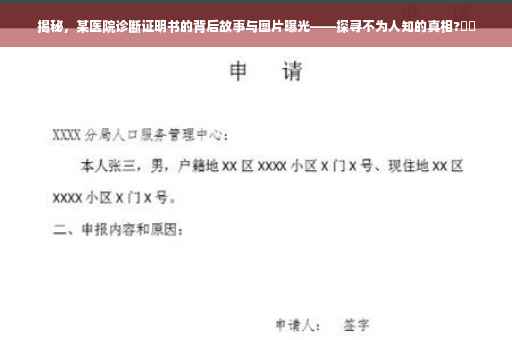揭秘，某医院诊断证明书的背后故事与图片曝光——探寻不为人知的真相?⚡️