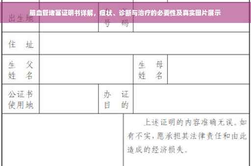 脑血管堵塞证明书详解，症状、诊断与治疗的必要性及真实图片展示